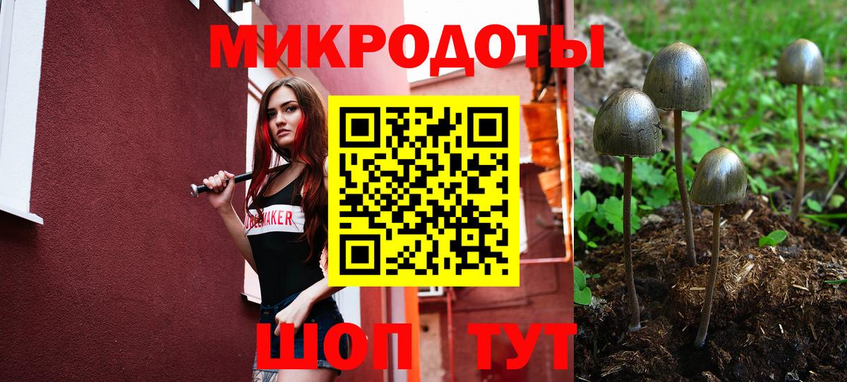Псилоцибиновые грибы прущие грибы Лесозаводск